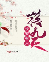 长安有月落九天封面