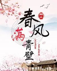 春风满青壁封面