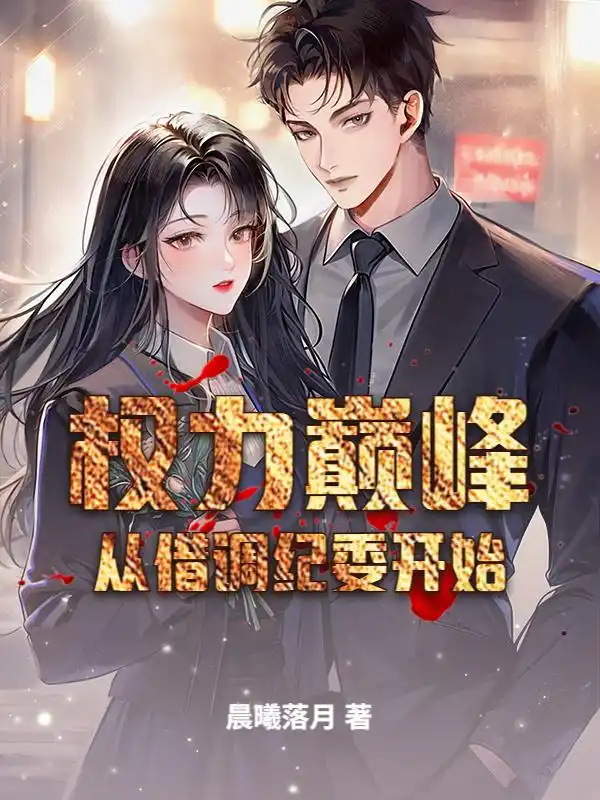 权力巅峰从借调纪委开始封面