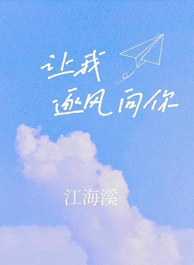 让我逐风向你封面