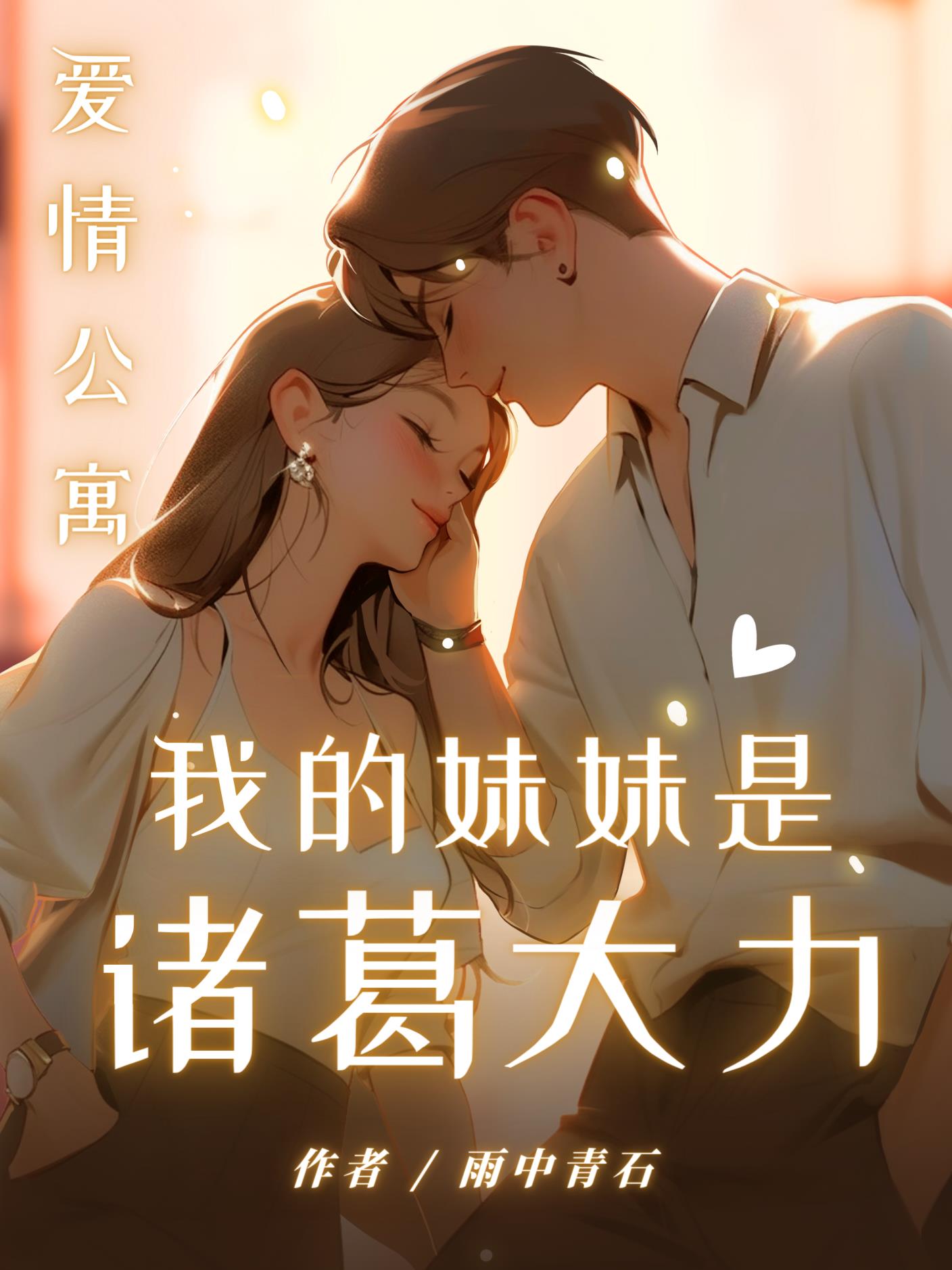 爱情公寓：我的妹妹是诸葛大力封面