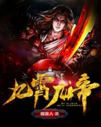九霄龙帝封面