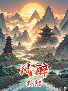 风醉斜阳封面