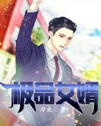 极品女婿封面
