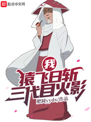 我，猿飞日斩！三代目火影封面