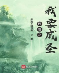 西游之我要成圣封面
