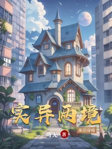 实异两境封面