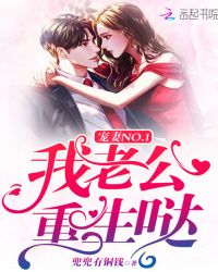 宠妻NO.1：我老公，重生哒！封面