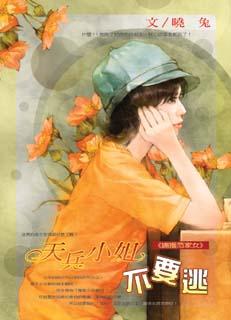 天兵小姐不要逃封面