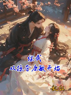 综武从掠夺康敏开始封面