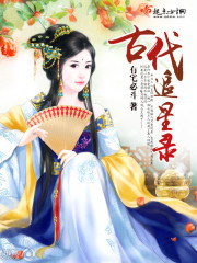 古代追星录封面