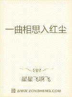 一曲相思入红尘封面