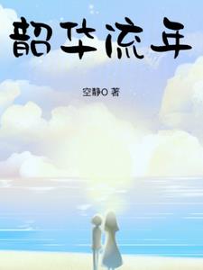 韶华亦流年封面