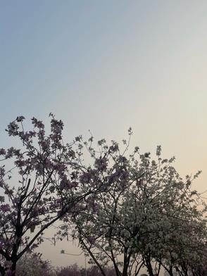 搬空家底去下乡封面