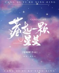 藏起一颗星星[娱乐圈]封面