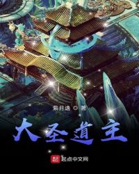 大圣道主封面
