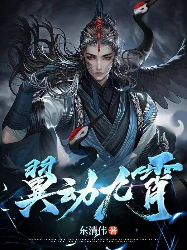 翼动九霄封面