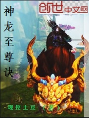 神龙至尊诀封面