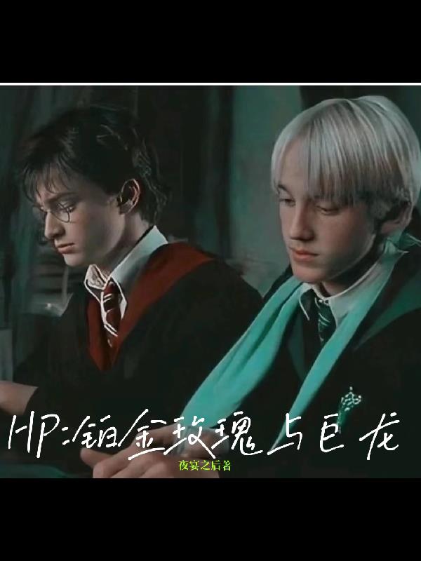 HP：铂金玫瑰与巨龙封面