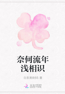 奈何流年浅相识封面