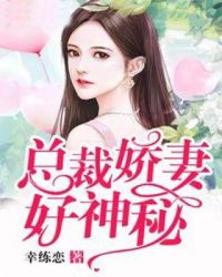 总裁娇妻好神秘封面