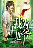 我为土地爷封面