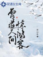 曾道人间惊鸿客封面