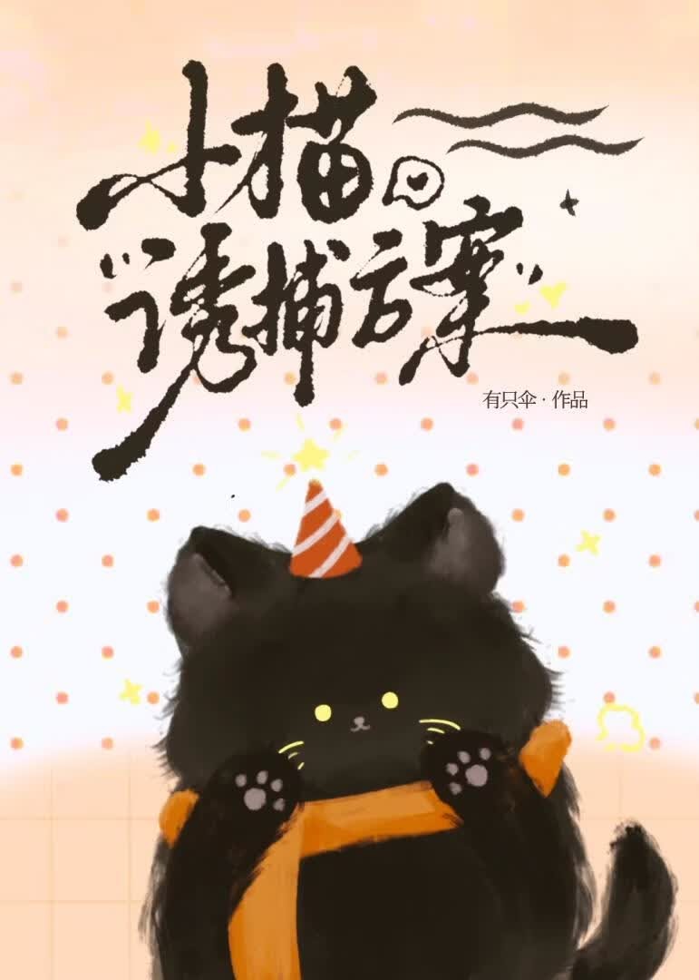 小猫诱捕方案封面