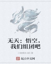 无天：悟空，我们组团吧封面