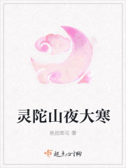 灵陀山夜大寒封面