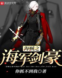 海贼之海军剑豪封面