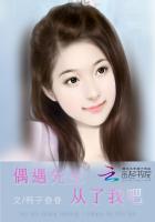 偶遇先生,从了我吧封面