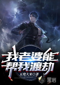 我老婆能帮我渡劫封面