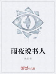 雨夜说书人封面