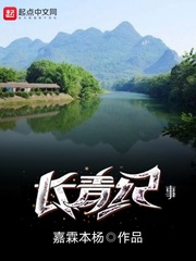 长青纪事封面
