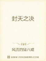 封天之决封面
