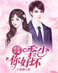 宠妻狂魔:季少你好坏封面