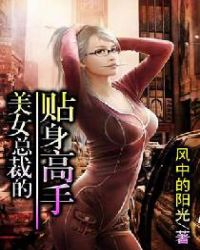 美女总裁的贴身高手封面