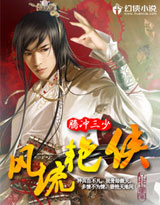 风流艳侠封面
