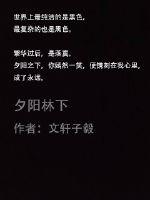 夕阳林下封面
