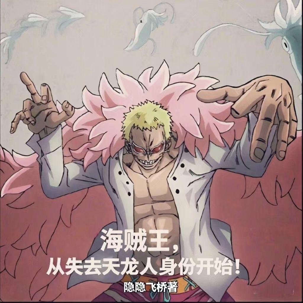 海贼王，从失去天龙人身份开始！封面