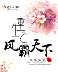 重生之凤霸天下封面