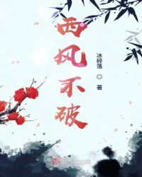 西风不破封面