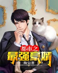 都市之最强豪婿封面