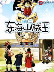 海贼之东海山贼王封面