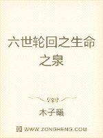 六世轮回之生命之泉封面