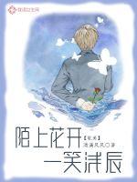 陌上花开,一笑浅辰封面