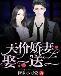 天价娇妻娶一送二封面