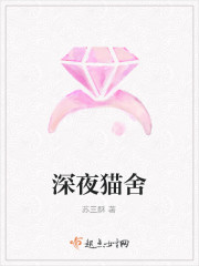 深夜猫舍封面