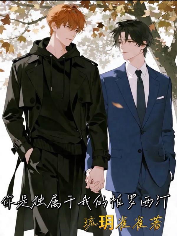 你是独属于我的帕罗西汀封面